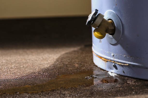 Best Water damage restoration experts  in North Pembroke, MA