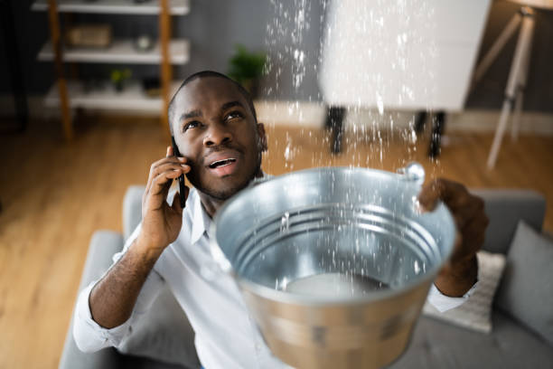 Best Local water damage restoration  in North Pembroke, MA