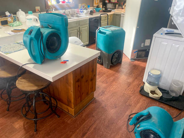 Best Water damage restoration cost  in North Pembroke, MA
