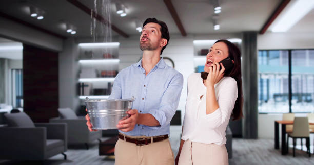 Best Water damage mitigation services  in North Pembroke, MA